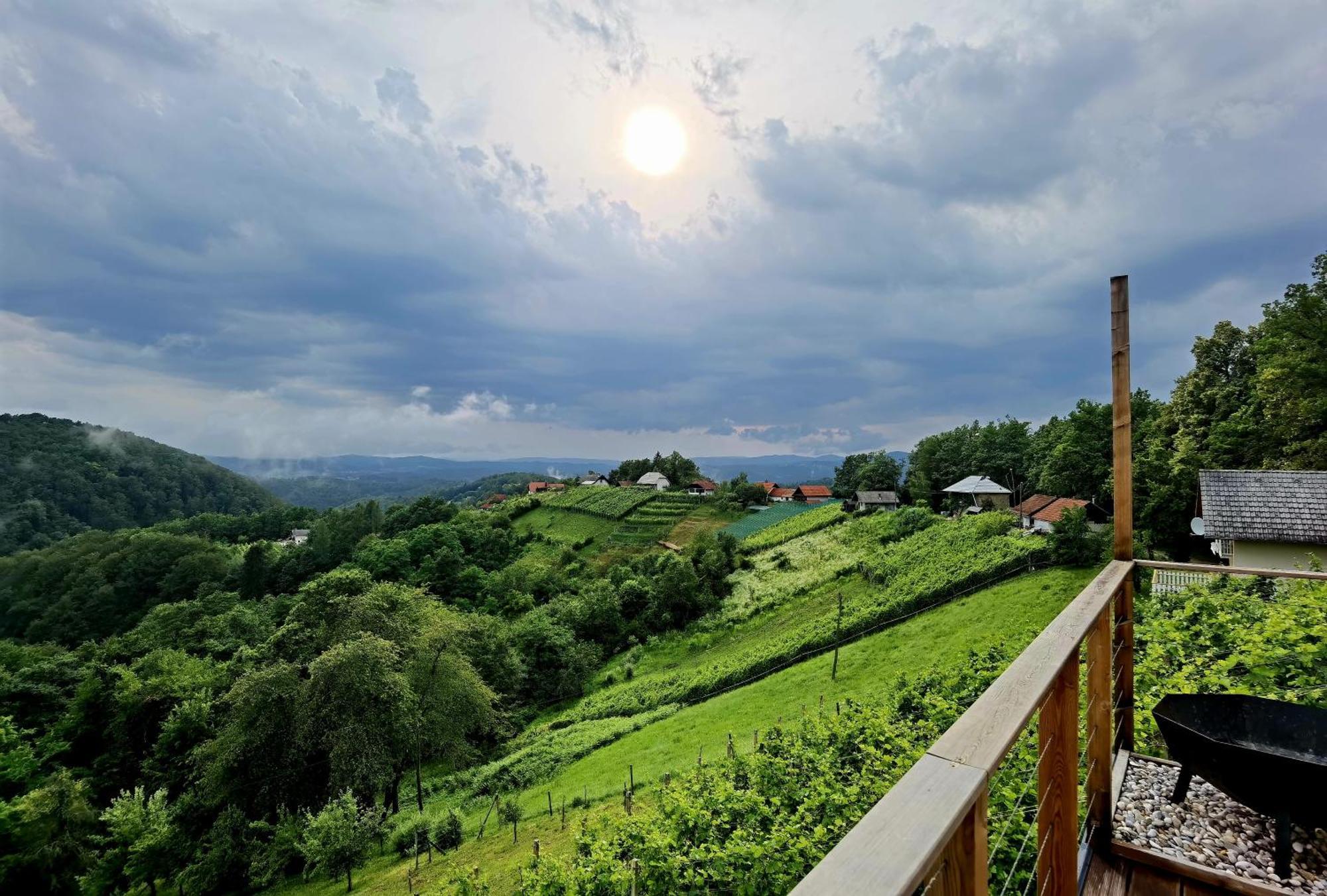 Vineyard Cottage Soncni Gric Trebnje Екстериор снимка