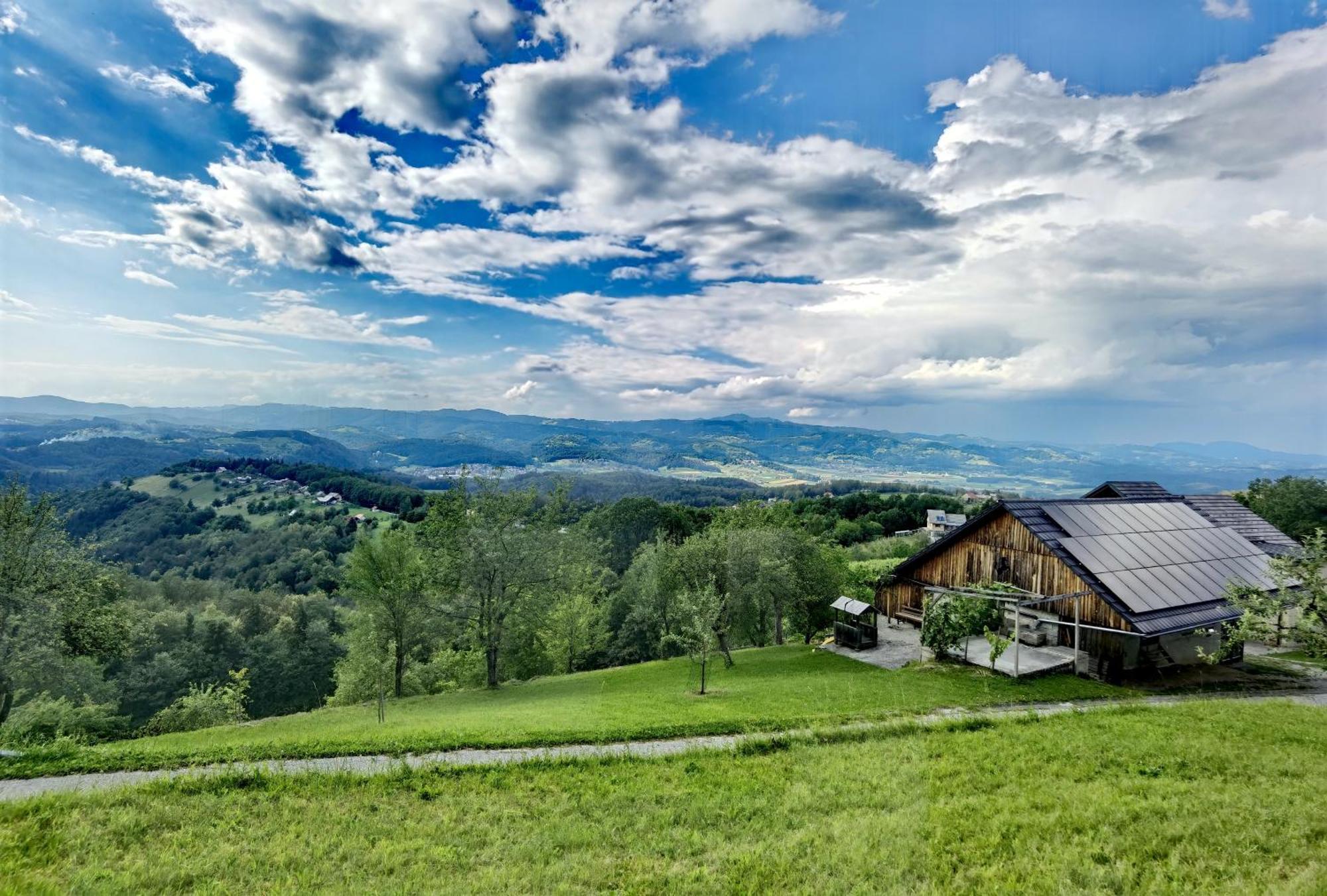 Vineyard Cottage Soncni Gric Trebnje Екстериор снимка
